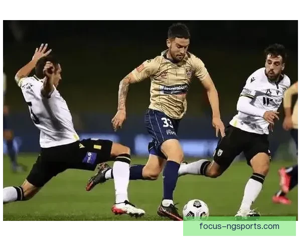 伯明翰俱乐部冬窗引援布局曝光冲击升级目标全力备战赛季英冠争夺