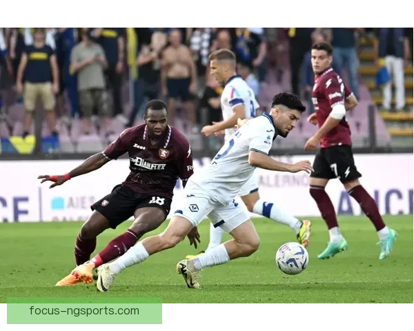 维罗纳俱乐部百年征程与意甲荣耀复兴之路探索传奇历史与未来蓝图展望