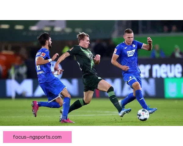 霍芬海姆1899俱乐部最新动态：赛季表现分析与未来发展规划