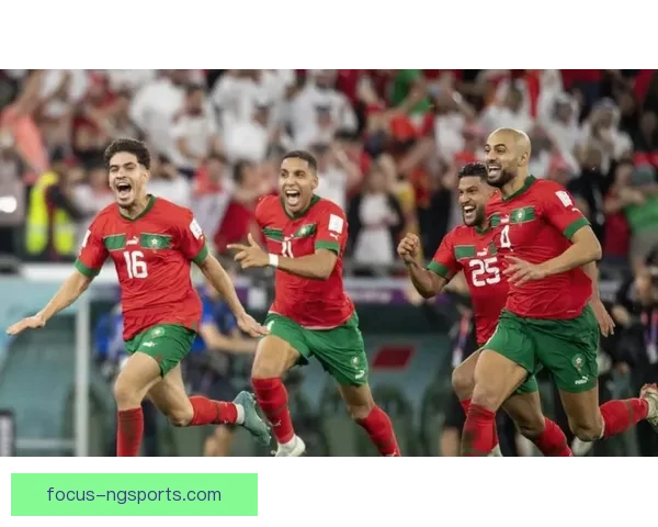 世界杯赛场惊现黑马球队逆袭夺冠引发热议