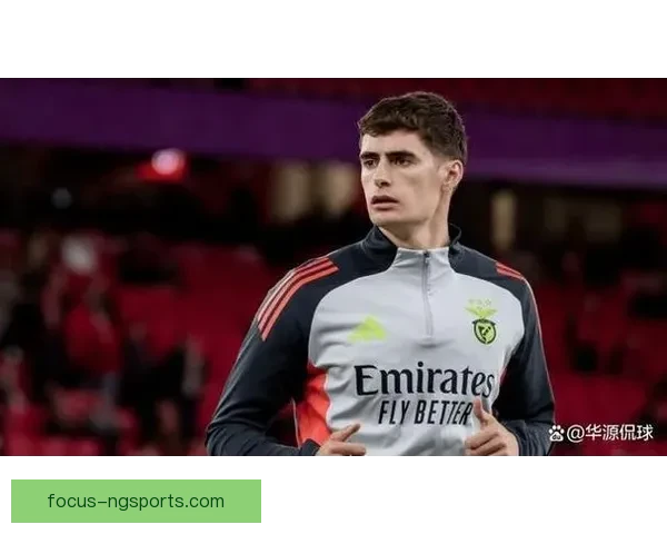 尤文图斯新赛季引援计划曝光 目标锁定两名实力球员